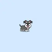 ちゃこの画像