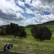 みかんみかん