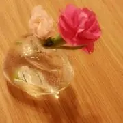 ルチル★プロフ確認を