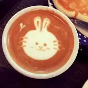 mayの画像