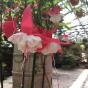 m.mの画像
