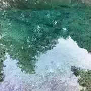 羊の画像