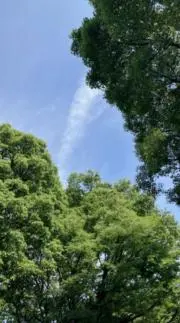 queenの画像