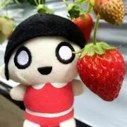 ＡＳＡの画像