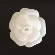 eeの画像