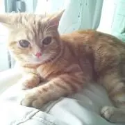 さっちゃん