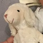 キョンキョンの画像