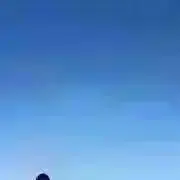 クリームの画像
