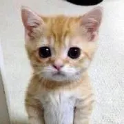 ゆうた