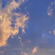 みののの画像