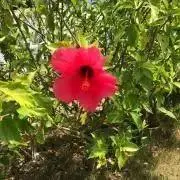 la.fleur⭐️美容／健康⭐️専門の画像