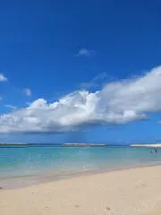 日本の美をめぐる 1-5巻セット - メルカリ