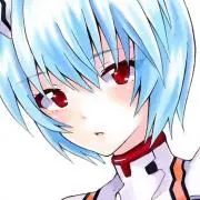 た まとめ買い歓迎 早期発送の画像