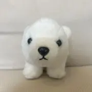 Haroの画像