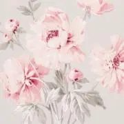 ⭐︎ゆぃ⭐︎の画像