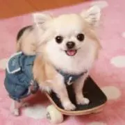 こうちゃんの画像