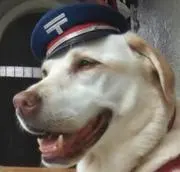 ひな