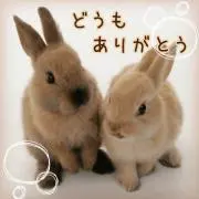 ☆FUK8の画像