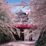 yuu-yanの画像