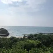 古着こっこの画像