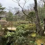 ロム