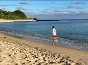 小籠包の画像
