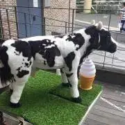 mow(猫います)の画像