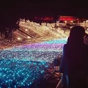 ももの画像