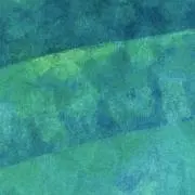 ねこむらさんの画像