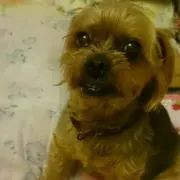きゃらぽ