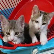 じゅりぃ＊の画像
