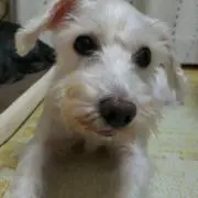 メロンパン
