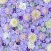 あきぽんの画像