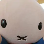 うさこの画像