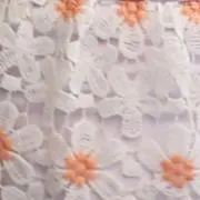 またたんの画像