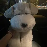さぁたんの画像