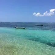 kanaの画像