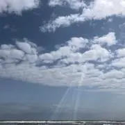 フエラムネの画像