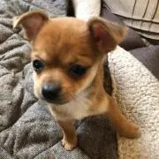 tai☆