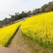 ta