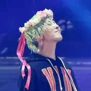 パンプキンパイの画像
