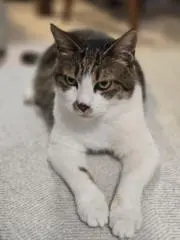 AKKOの画像