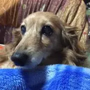 ゆうの画像