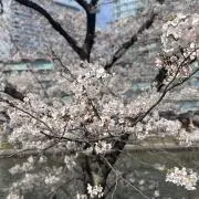 Asahi