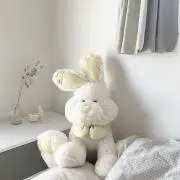 ちこ·͜· ︎︎ᕷ断捨離中"プロフ必読の画像