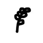 こむぎ（プロフィール必読）の画像