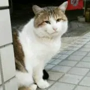 うさこ♡の画像
