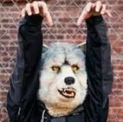 カミカゼコ