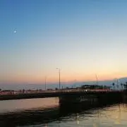 toshiの画像