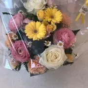 ぺこりんの画像